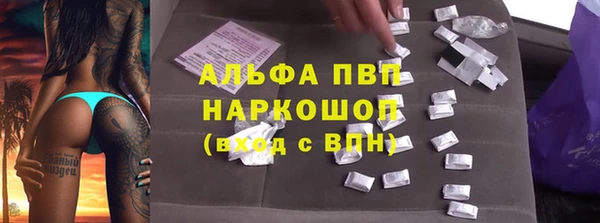 гидра Алексин