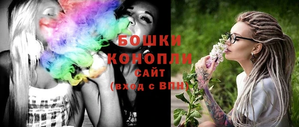 шишки Алексеевка