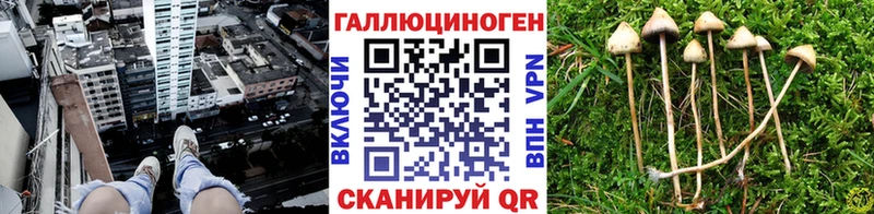 Псилоцибиновые грибы Psilocybine cubensis Жигулёвск